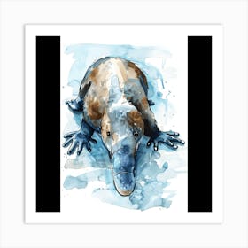 Platypus Art Print