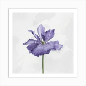 Purple Iris Art Print