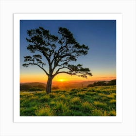 Lone Tree At Sunset Art Print