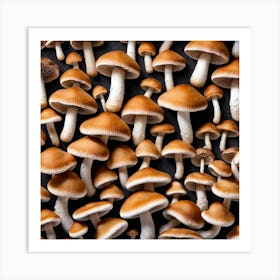 Many Mushrooms On A Black Background 3 Art Print