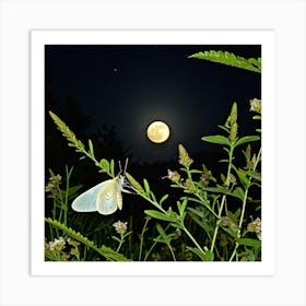 Butterfly In The Moonlight Art Print