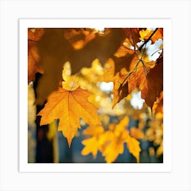 Showcase The Warm ; another autumn view Art Print