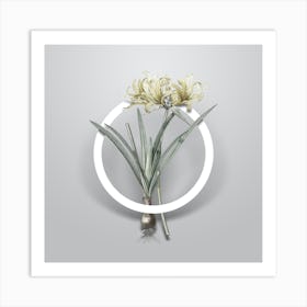 Vintage Golden Hurricane Lily Minimalist Botanical Geometric Circle on Soft Gray n.0185 Art Print