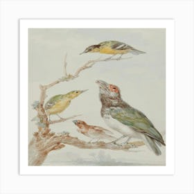 Three Birds Perched On A Branch 1 Art Print