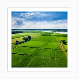 Grass Peace Air Structure Pasture Soy Bean High Country Rural Green Farm Overhead Natur (1) Art Print