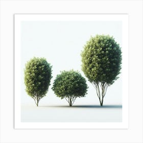 Three Trees 2 Art Print