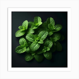 Aromatic and Refreshing: The Enchanting World of Mint, Nature's Fragrant Treasure Trove Art Print