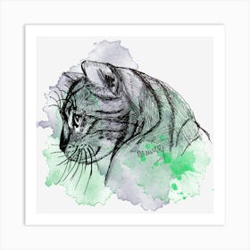 Tiger Art Print