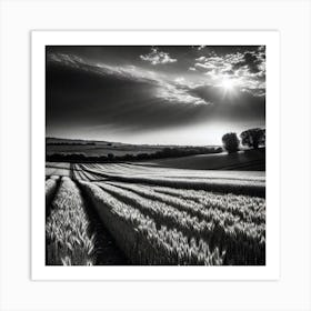 Black And White Wheat Field Art Print