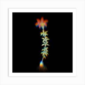 Prism Shift Wood Lily Botanical Illustration on Black Art Print