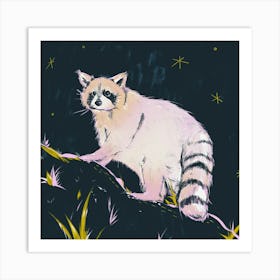 Raccoon At Night Art Print