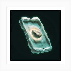 Eukaryotic Cell Art Print