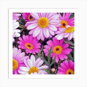 Pink Daisies Art Print