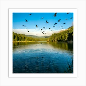 Firefly Canadian Geese Migrating Over A Serene Lake 20073 (2) Art Print