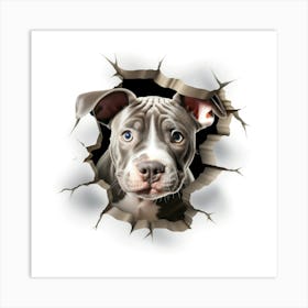 Pit Bull 1 Art Print