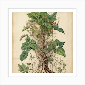 Hibiscus,wall art Art Print