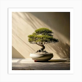 Firefly Bonsai, Tree, Minimalist, Setting, Soft, Shadows, Neutral, Background, Serene, Calm, Nature, (9) Art Print