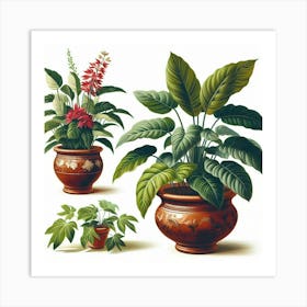 Three Potted Plants Art Print