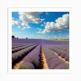 Lavender Fields In France Art Print