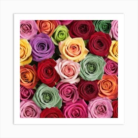 Colorful Roses 18 Art Print