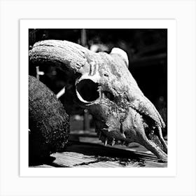 Black And White Cow Skull 1 Art Print