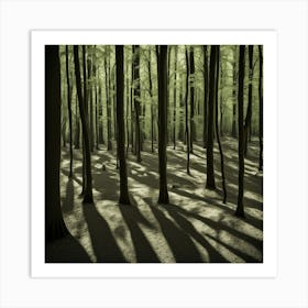 Shadows In The Forest Art Print