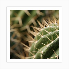 Cactus 3 Art Print