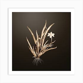 Gold Botanical Fortnight Lily on Chocolate Brown n.4621 Art Print
