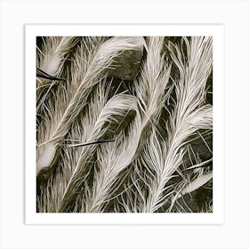 The Feathers Art Print