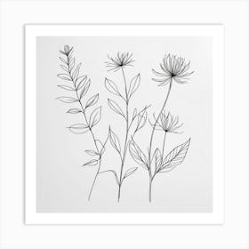 Line Drawing Of Flowers 2 Art Print