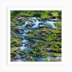 Stream In The Forest Art Print