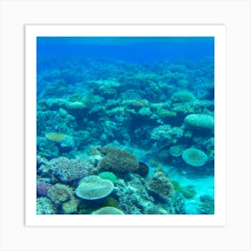 Great Barrier Reef8 Art Print