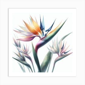 Flower of Bird of Paradise 3 Art Print