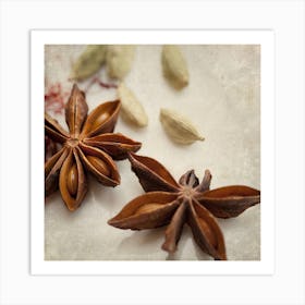 Star Anise Art Print