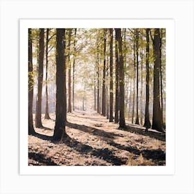 Morning at Forest Art Print