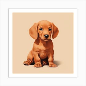 Dachshund Puppy Art Print