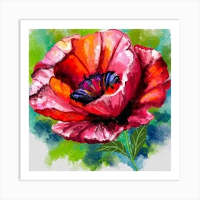 Poppy Beauty Art Print