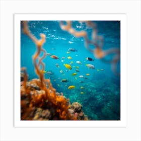 Underwater Coral Reef 1 Art Print