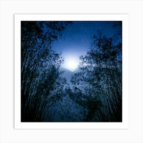 Firefly 8k, Top Quality, Live Action, Center, Dark, Night, Midnight, Starry Sky, Bamboo, Dense, Fog, (3) Art Print