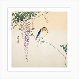 Wisteria And Swallow, Ohara Koson Art Print