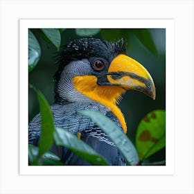 Horned Toucan Art Print