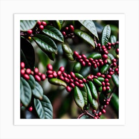 Red Berries On A Coffee Plant Art Print