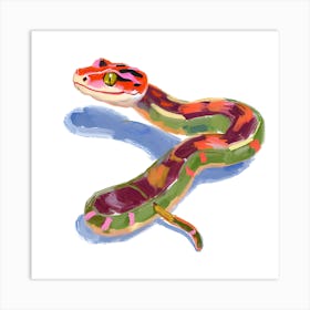 Red Tailed Boa Snake 06 Art Print