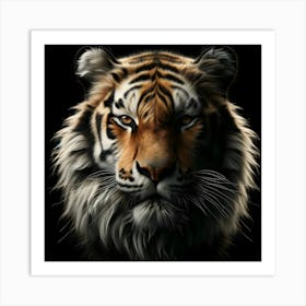 Tiger Portrait isolated on black background 1 Art Print