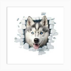 Husky Dog 1 Art Print