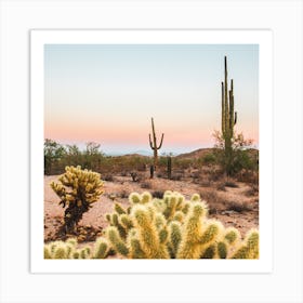 Desert Sunset Square Art Print