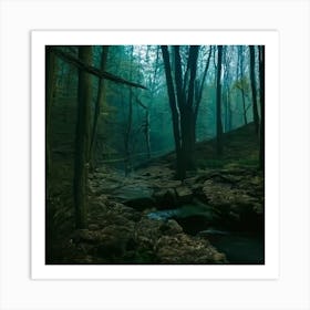 Forest 67 Art Print