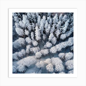 Aerial View Of Snow Covered Forest 2 Art Print