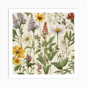 Wildflowers 19 Art Print