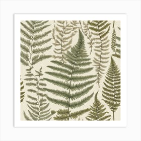 Fern Leaves Art Print